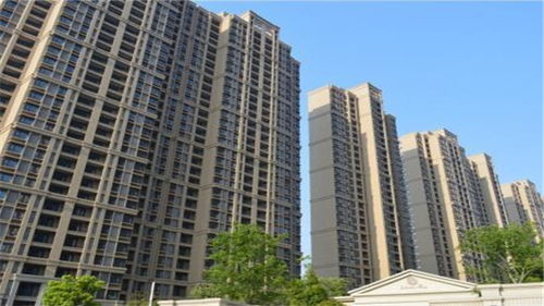 2019年5月金融統計數據報告