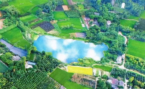 23億負債壓頂，22年老牌房企申請破產！阜陽房企承壓，四川地產亦現隱憂