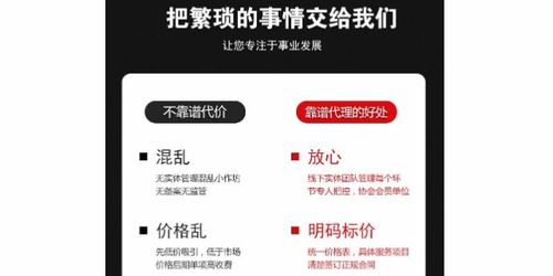 商務(wù)代理代辦服務(wù) 企業(yè)高效運(yùn)營的加速器